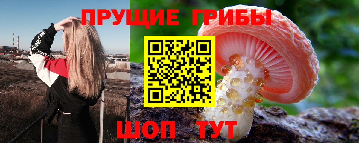 Псилоцибиновые грибы Cubensis  Вход с VPN  Вольск  где найти   Псилоцибиновые грибы Magic Shrooms 