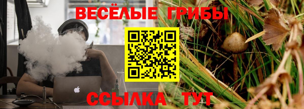 Псилоцибиновые грибы GOLDEN TEACHER Вольск